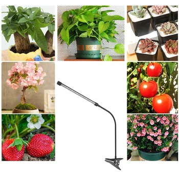 LED Grow Light Plant 3/6/12H Timer Growing Lamp For Indoor Plants 20 LEDs With Clip 1PC
LED Grow Light Plant 3/6/12H Timer Growing Lamp For Indoor Plants 20 LEDs With Clip 1PC