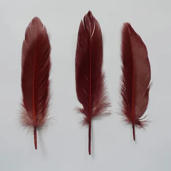 Wholesale Hard pole 1000 Pcs Brown Goose Feathers for DIY crafts plumes 12-18cm DIY Jewelry Wedding Home decoration plumas
Wholesale Hard pole 1000 Pcs Brown Goose Feathers for DIY crafts plumes 12-18cm DIY Jewelry Wedding Home decoration plumas