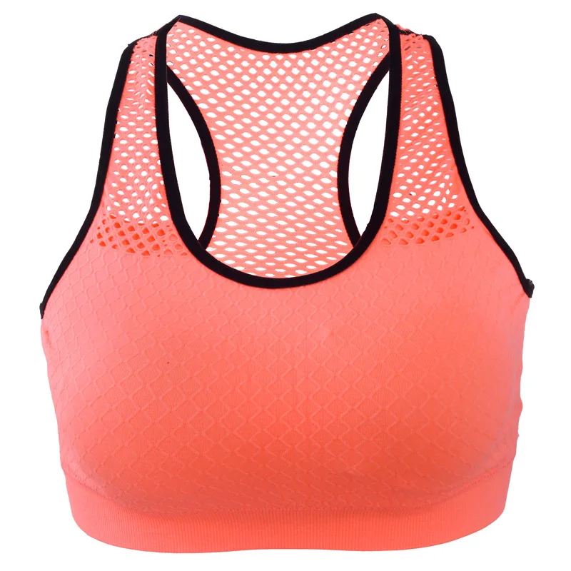 Breathable Sports Bra Women High Stretch Wire Free Padded Sports Top Seamless Fitness Vest Absorb Sweat Running Yoga Bra
Breathable Sports Bra Women High Stretch Wire Free Padded Sports Top Seamless Fitness Vest Absorb Sweat Running Yoga Bra