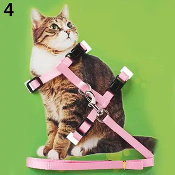 Adjustable Nylon Cat Puppy Pet Harness Collar Lead Leash Traction Safety Rope 2020 
Adjustable Nylon Cat Puppy Pet Harness Collar Lead Leash Traction Safety Rope 2020