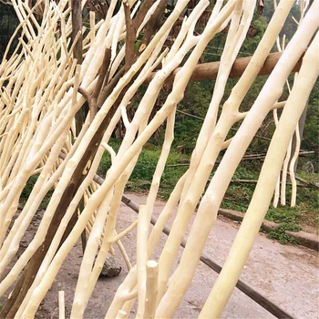 1PC 20cm Peeled Branches Primary Color Dry White Tree Branch Decorative Furcation Head DIY Home Decor
1PC 20cm Peeled Branches Primary Color Dry White Tree Branch Decorative Furcation Head DIY Home Decor