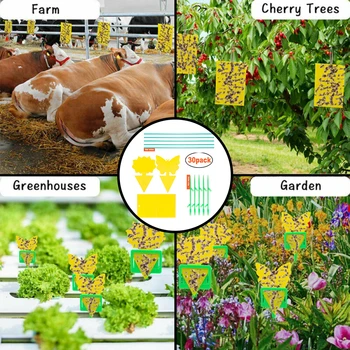 30 Pack Yellow Sticky Traps For Fruit Fly And Insect Like,Leafminers Whiteflies Pest Control Products Repellents
30 Pack Yellow Sticky Traps For Fruit Fly And Insect Like,Leafminers Whiteflies Pest Control Products Repellents