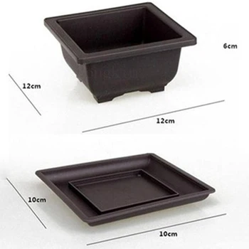 Imitation Purple Sand Succulent Flowerpot (square Light Trumpet + Square Trumpet Use Them To Grow Healthy Herbs At Farmers Marke
Imitation Purple Sand Succulent Flowerpot (square Light Trumpet + Square Trumpet Use Them To Grow Healthy Herbs At Farmers Marke