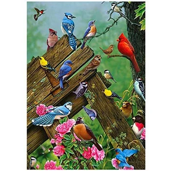5D Full Drill Diamond Painting Kit, Diy Diamond Rhinestone Painting Kits for Adults and Children Embroidery Bird
5D Full Drill Diamond Painting Kit, Diy Diamond Rhinestone Painting Kits for Adults and Children Embroidery Bird