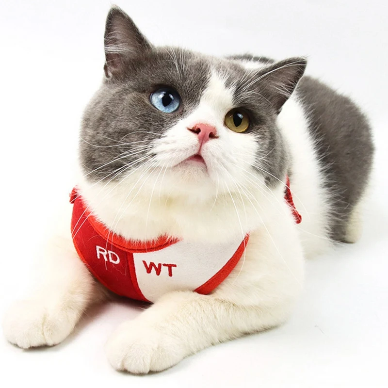 Dog harness vest pet breathable mesh vests cat chest harness pets dogs leash pets new high quality practical items
Dog harness vest pet breathable mesh vests cat chest harness pets dogs leash pets new high quality practical items