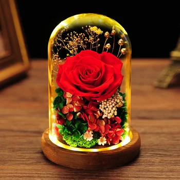 Romantic Eternal Rose Flower Glass Cover Beauty and Beast LED Battery Lamp Birthday Valentine's Day Mother Gift Home Decoration
Romantic Eternal Rose Flower Glass Cover Beauty and Beast LED Battery Lamp Birthday Valentine's Day Mother Gift Home Decoration