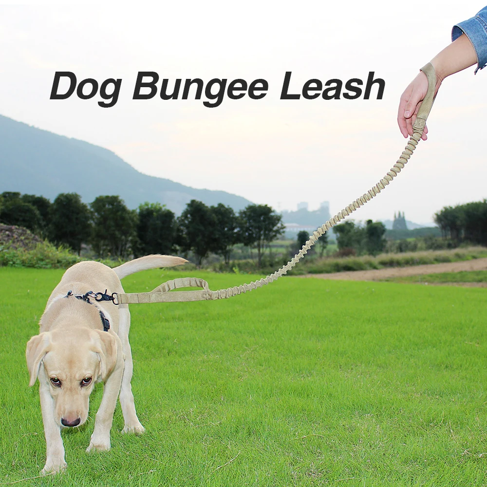 Outdoor Dog Training Bungee Leash Elastic Dog Leads Rope Small Medium Dog Leash Double Control Handle Hunting Tools
Outdoor Dog Training Bungee Leash Elastic Dog Leads Rope Small Medium Dog Leash Double Control Handle Hunting Tools