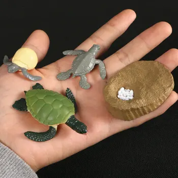 Animals Growth Cycle Life Cycle Model Set Ant Mosquito Sea Turtle Simulation Model Action Figures Teaching Toys For Kids
Animals Growth Cycle Life Cycle Model Set Ant Mosquito Sea Turtle Simulation Model Action Figures Teaching Toys For Kids