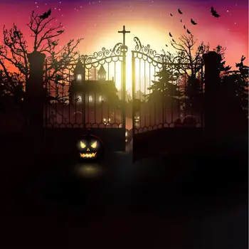 Photography background in background mysterious foggy forest Halloween theme backdrop professional photo background studio
Photography background in background mysterious foggy forest Halloween theme backdrop professional photo background studio