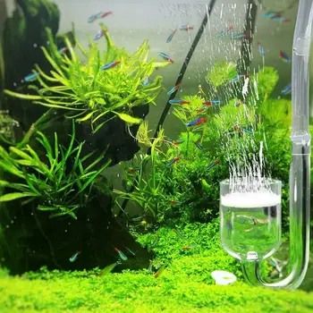 UEETEK U Shape CO2 Regulator Diffuser Check Glass Tube with Suction Cup Fish Aquatic Pet Supplies
UEETEK U Shape CO2 Regulator Diffuser Check Glass Tube with Suction Cup Fish Aquatic Pet Supplies