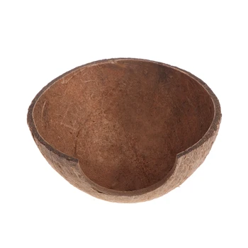 2020 New Reptile Hide Habitat Natural Coconut Shell Lizard Spider Small Animal Cave House
2020 New Reptile Hide Habitat Natural Coconut Shell Lizard Spider Small Animal Cave House