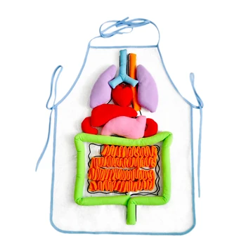 Anatomy Apron Human Body Organs Awareness Educational Insights Toys for Children Preschool Science Homeschool Teaching Aids 
Anatomy Apron Human Body Organs Awareness Educational Insights Toys for Children Preschool Science Homeschool Teaching Aids