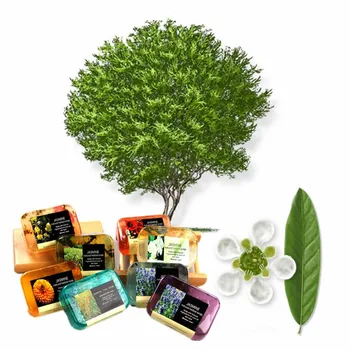 1 Pcs Fragrans essential oil soap Oil-control Acne Treatment Blackhead Remover Crystal Soap 100g Whitening Cleanser Skin Care 
1 Pcs Fragrans essential oil soap Oil-control Acne Treatment Blackhead Remover Crystal Soap 100g Whitening Cleanser Skin Care