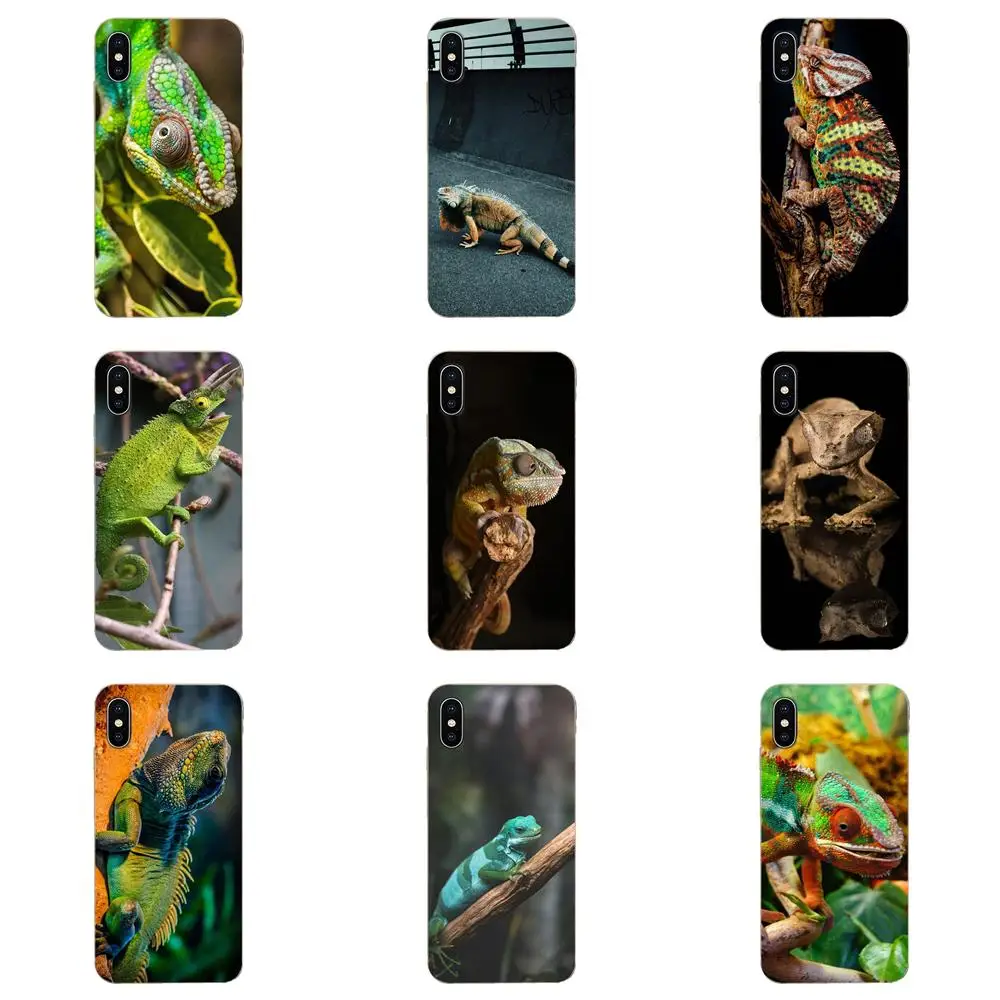 Фото Мягкие чехлы для телефонов Xiaomi Redmi Mi 4 7A 9T K20 CC9 CC9e Note 7 8 9 Y3 SE Pro Prime Go Play Animal Iguana Chameleon