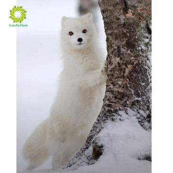 Diamond Painting Cross Stitch "white fox" Full Square Round Diy 5d Diamond Embroidery Picture Rhinestone Art
Diamond Painting Cross Stitch "white fox" Full Square Round Diy 5d Diamond Embroidery Picture Rhinestone Art