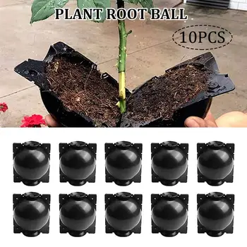 10Pcs Plant Rooting Ball Grafting Rooting Growing Box Breeding Case Plant Root Growing Box Sapling For Garden 8cm In Diameter
10Pcs Plant Rooting Ball Grafting Rooting Growing Box Breeding Case Plant Root Growing Box Sapling For Garden 8cm In Diameter