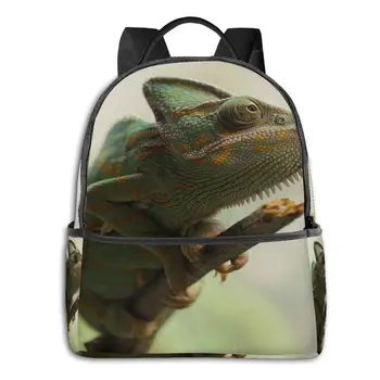Casual Backpack Female Women'sA Green Chameleon backpack School Bag Leisure Shoulder Bags 
Casual Backpack Female Women'sA Green Chameleon backpack School Bag Leisure Shoulder Bags