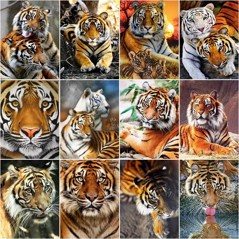 

CHENISTORY Tiger Paint By Number For Adults Children Kits Home Decor Pictures Painting By Number Animal Handpainted Art Gift