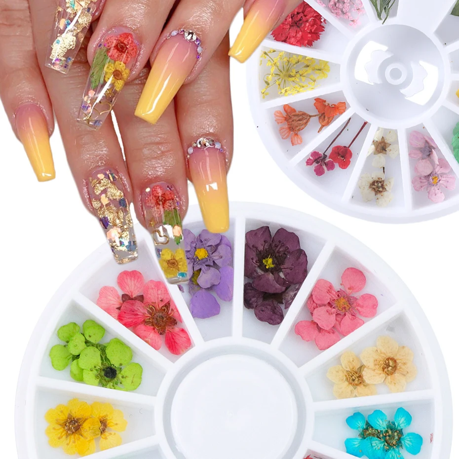 24pcs/Wheel 3D Dried Flower Nail Art Decoration Blossom Daisy Floral Leaf Slider Polish Sticker Summer Manicure Tools JIXHD-1
24pcs/Wheel 3D Dried Flower Nail Art Decoration Blossom Daisy Floral Leaf Slider Polish Sticker Summer Manicure Tools JIXHD-1