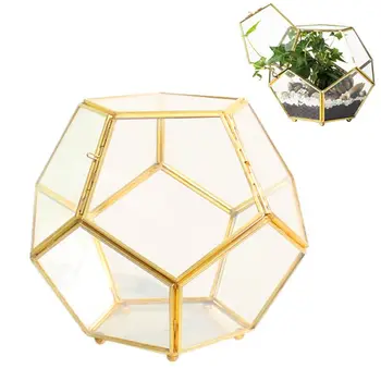 Close Footed Gold Copper Storage Box Brass Glass Glass Terrarium Geometric Terrarium with Door Pentagon Ball Shape Close Fern
Close Footed Gold Copper Storage Box Brass Glass Glass Terrarium Geometric Terrarium with Door Pentagon Ball Shape Close Fern
