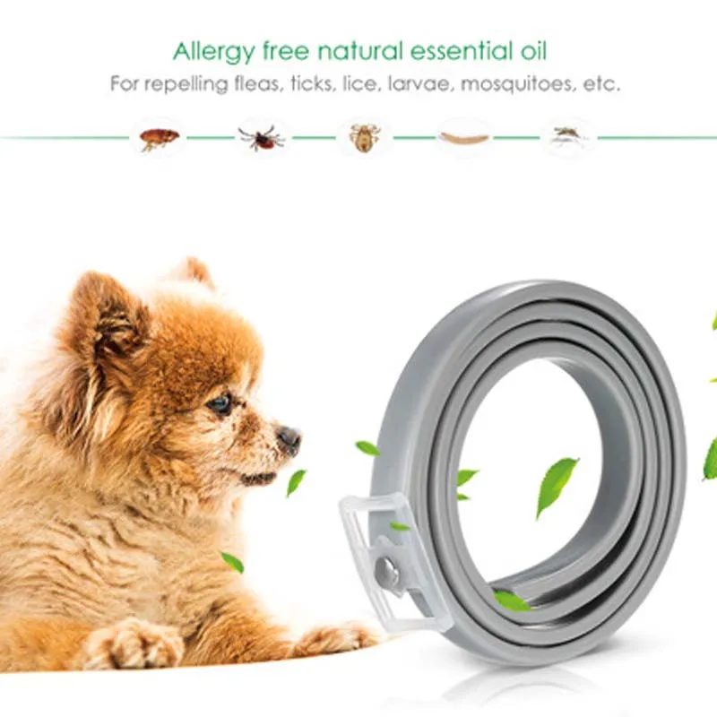 Pet Dog Cat Collar Anti Flea Tick Mosquitoes Outdoor Protective Adjustable Repels Flea and ticks Collar 8 Months 
Pet Dog Cat Collar Anti Flea Tick Mosquitoes Outdoor Protective Adjustable Repels Flea and ticks Collar 8 Months