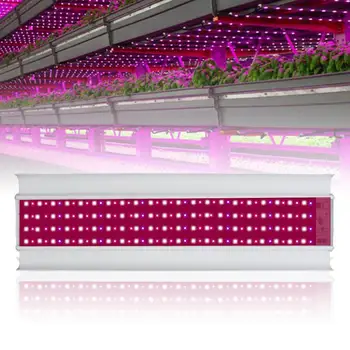 80W 168 LED Grow Light Full Spectrum Indoor Hydro Veg Flower Growth Panel LED Grow Light Plant Grow Light Growing Light
80W 168 LED Grow Light Full Spectrum Indoor Hydro Veg Flower Growth Panel LED Grow Light Plant Grow Light Growing Light