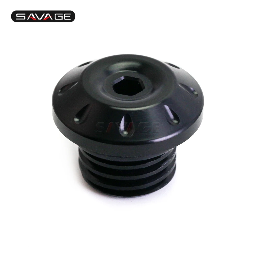 S Oil filler screw (17)
