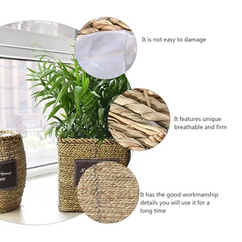 Vine Flowerpot Scindapsus Aureus Rattan Plaited Flowerpot Nordic Style Straw Large Creative Knit Flowerpot (Cone Small Size)
Vine Flowerpot Scindapsus Aureus Rattan Plaited Flowerpot Nordic Style Straw Large Creative Knit Flowerpot (Cone Small Size)