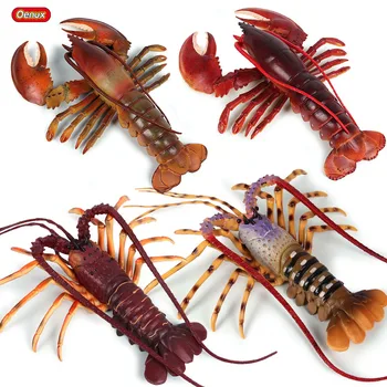 Oenux Simulation Large Size Sea Life Langouste Lobster Animals Model Ocean Animal Boston Lobster Action Figures Toy Kids Gift
Oenux Simulation Large Size Sea Life Langouste Lobster Animals Model Ocean Animal Boston Lobster Action Figures Toy Kids Gift