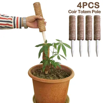 4pcs Coir Moss Stick Coir Totem Stake Pole for Creepers Climbing Indoor Plants Support Extension 12 Inch
4pcs Coir Moss Stick Coir Totem Stake Pole for Creepers Climbing Indoor Plants Support Extension 12 Inch