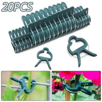 20Pcs Durable PP Gardening Spring Clip Tree Plants Flower Seedling Stem Vine Support Clips Garden Tool Home Garden Decor
20Pcs Durable PP Gardening Spring Clip Tree Plants Flower Seedling Stem Vine Support Clips Garden Tool Home Garden Decor