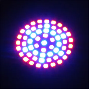 Full Spectrum E27 3W 60 LED Grow Light Blub 41 Red 19 Blue for Plant Hydroponics AC 220V
Full Spectrum E27 3W 60 LED Grow Light Blub 41 Red 19 Blue for Plant Hydroponics AC 220V