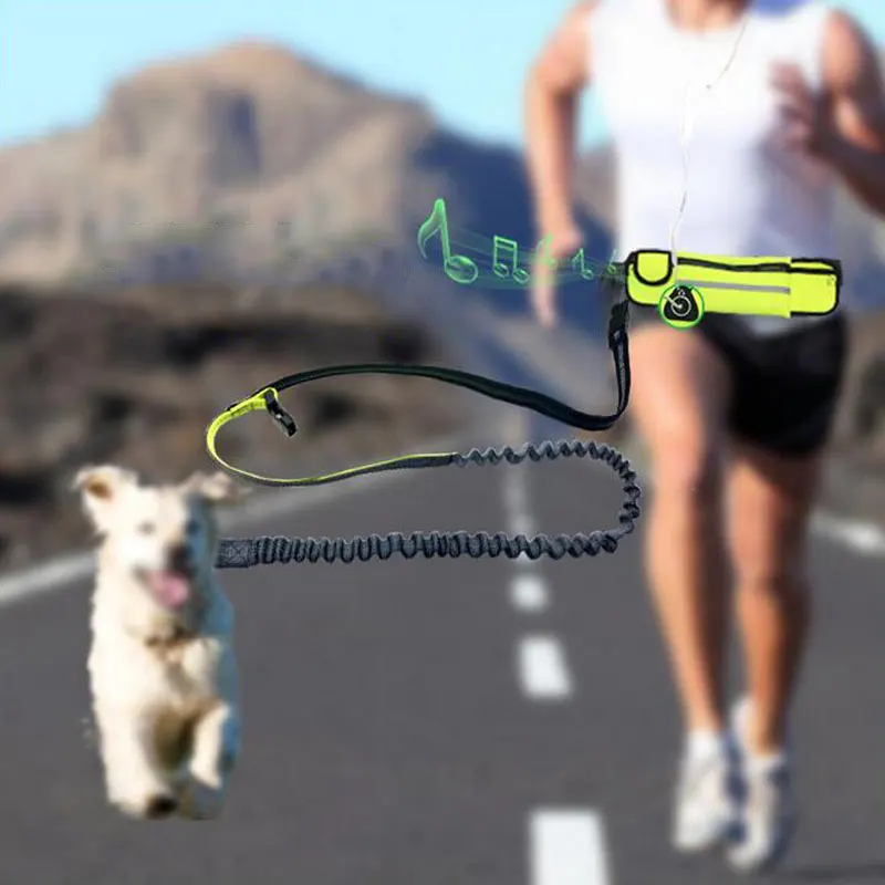 Hands Free Dog Running Leash with Waist Pocket Adjustable Belt Shock Absorbing Bungee Fits up to 45 inch Waist
Hands Free Dog Running Leash with Waist Pocket Adjustable Belt Shock Absorbing Bungee Fits up to 45 inch Waist