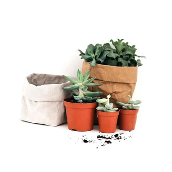 Mini Succulents Planter Pot Washable Kraft Paper Flowerpot Creative Desktop Flower Pots Reuseable Multifunction Home Storage Bag
Mini Succulents Planter Pot Washable Kraft Paper Flowerpot Creative Desktop Flower Pots Reuseable Multifunction Home Storage Bag