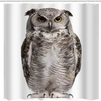 Funny Shower Curtain Animal Decor, Cute Owl Bird Image on White Modern Unique Art Printing,Polyester Fabric Waterproof Bath
Funny Shower Curtain Animal Decor, Cute Owl Bird Image on White Modern Unique Art Printing,Polyester Fabric Waterproof Bath