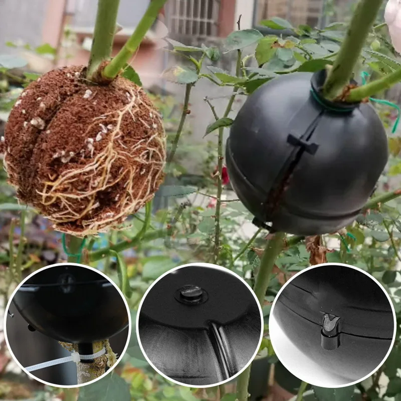 1/3/5/10pc Plant Rooting Device High Pressure Propagation Ball High Pressure Box Grafting Flowering Cutting Survival Rate Plants
1/3/5/10pc Plant Rooting Device High Pressure Propagation Ball High Pressure Box Grafting Flowering Cutting Survival Rate Plants