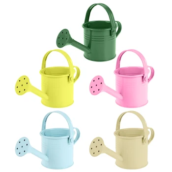 2pcs Creative Watering Tin Simple Watering Pot Durable Iron Sprinkling Kettle Portable Can for Garden Home Plants Flower
2pcs Creative Watering Tin Simple Watering Pot Durable Iron Sprinkling Kettle Portable Can for Garden Home Plants Flower