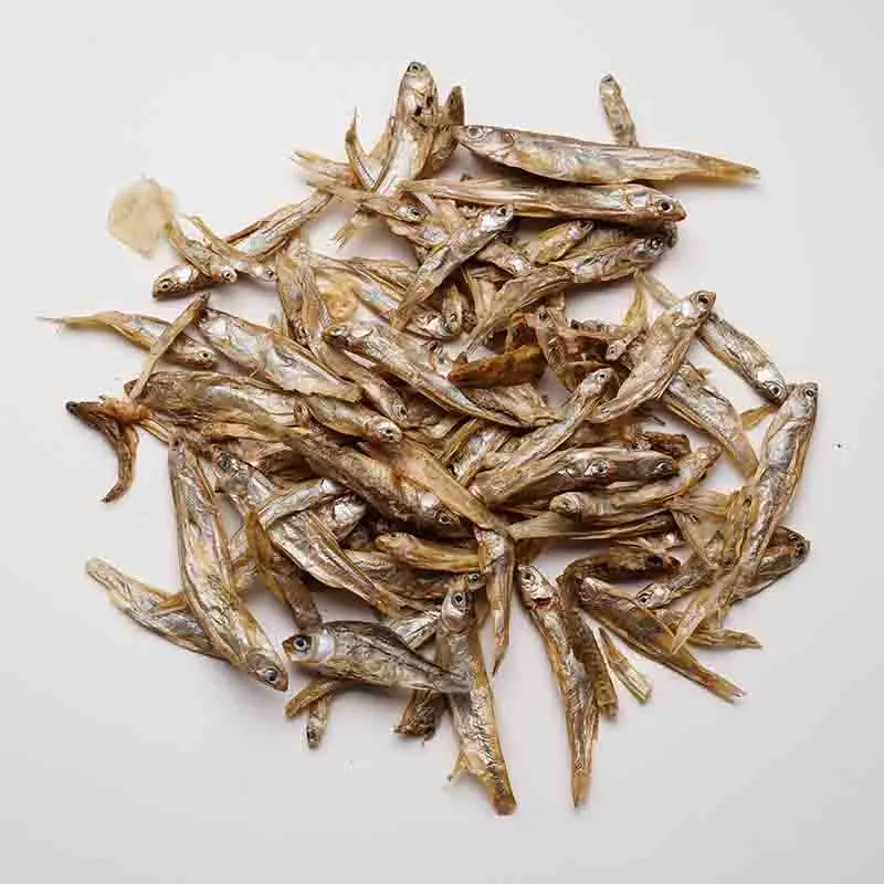 Tortoise Food Turtle Aquarium Fish Food Feed Sticks Granules Dried Fish Shrimp Bread Worms Reptile Terrapin Aquatic Fertilizer
Tortoise Food Turtle Aquarium Fish Food Feed Sticks Granules Dried Fish Shrimp Bread Worms Reptile Terrapin Aquatic Fertilizer