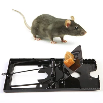 1pc Reusable Rat Catching Mice Mouse Traps Mousetrap Bait Snap Spring Rodent Catcher Pest Control
1pc Reusable Rat Catching Mice Mouse Traps Mousetrap Bait Snap Spring Rodent Catcher Pest Control
