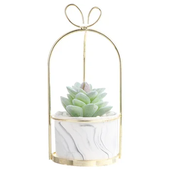 1pc Fimbriata Malacophylla Shape Simulation Bonsai Flower Plant Home Office Desktop Adornment for Friends Family
1pc Fimbriata Malacophylla Shape Simulation Bonsai Flower Plant Home Office Desktop Adornment for Friends Family