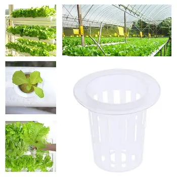 30pcs Slotted Mesh Soilless Culture Vegetable Net Pots Baskets Cups for Hydroponics Aquaponics Orchids 7x6.8x5cm
30pcs Slotted Mesh Soilless Culture Vegetable Net Pots Baskets Cups for Hydroponics Aquaponics Orchids 7x6.8x5cm