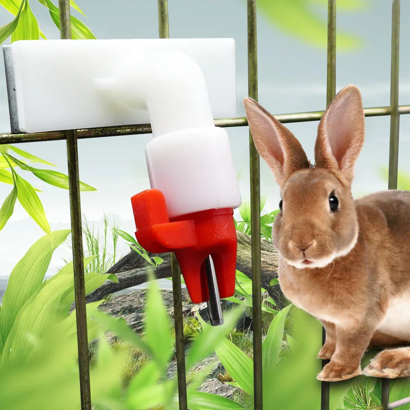 10PCS rabbit with automatic drinker rabbit water mouth rabbit ball valve drinking fountain rabbit duckball steel drinker faucet
10PCS rabbit with automatic drinker rabbit water mouth rabbit ball valve drinking fountain rabbit duckball steel drinker faucet
