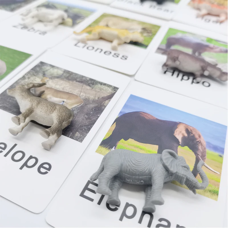3.Montessori Languag Materials Learning Cards Educational Toys Animal Matching Card Cognition Preschool Educational Learning Toy
3.Montessori Languag Materials Learning Cards Educational Toys Animal Matching Card Cognition Preschool Educational Learning Toy