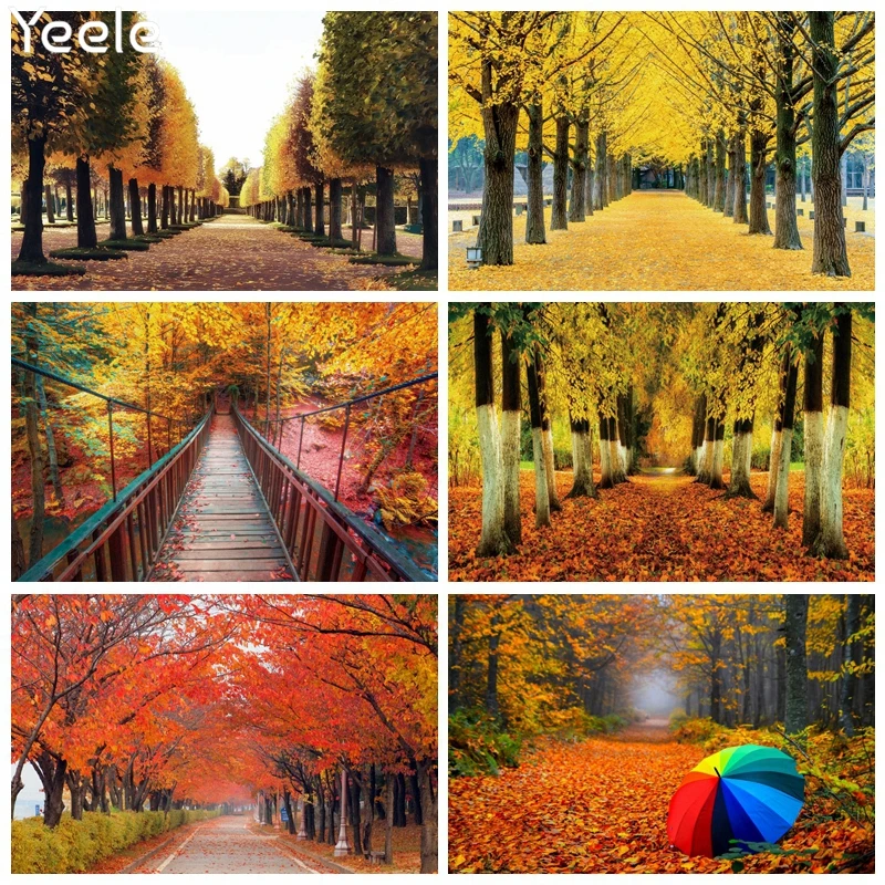 

Yeele Autumn Scenery Photography Backdrop Forest Path Baby Shower Birthday Party Decor Photographic Photo Studio Background Prop