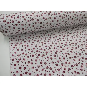 Popelin fabric printed cotton Ref. HANA POSITIVE NETWORK footage 0,50 mts x width 2,80 mts
Popelin fabric printed cotton Ref. HANA POSITIVE NETWORK footage 0,50 mts x width 2,80 mts