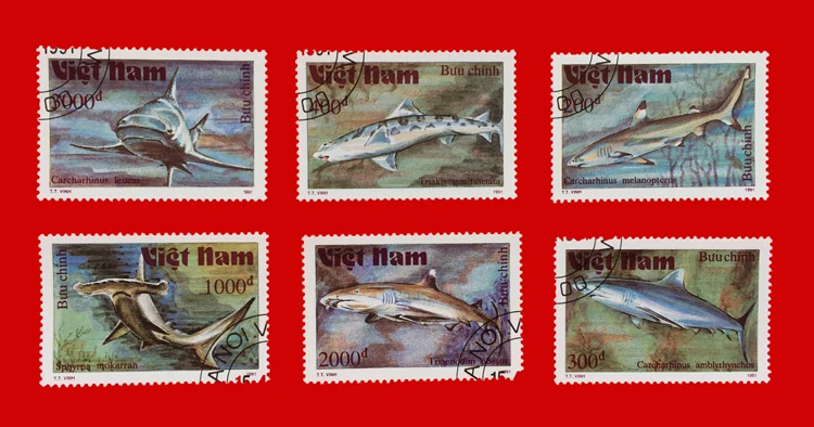 6Pcs/Set Vietnam Post Stamps Marine World Mammal Shark Marked Postage Stamps for Collecting
6Pcs/Set Vietnam Post Stamps Marine World Mammal Shark Marked Postage Stamps for Collecting