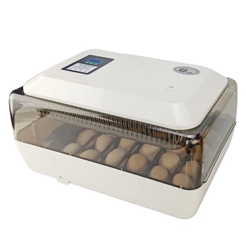 Automatic Eggs Incubator Bird Quail Brooder Low Price Farm Hatchery Incubator Brooder Machine Egg Hatchers For Chicken Duck Egg
Automatic Eggs Incubator Bird Quail Brooder Low Price Farm Hatchery Incubator Brooder Machine Egg Hatchers For Chicken Duck Egg