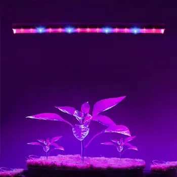 

30cm 57cm LED Grow light T5 Tube Full Spectrum Phytolamps For Plants Vegetable Flowers Seeds Phyto Seedlings lamp Grow Tent lamp