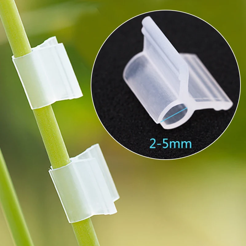 100Pcs Plant Grafting Clamp 2-5mm Vegetable and Fruit Seedling Nursery Butt Fixing Tool Is Soft and Does Not Hurt The Seedlings
100Pcs Plant Grafting Clamp 2-5mm Vegetable and Fruit Seedling Nursery Butt Fixing Tool Is Soft and Does Not Hurt The Seedlings