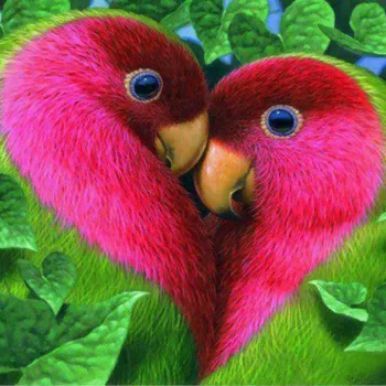 Diamond Painting Animal Parrot Bird 5d Diy Mosaic Full Square Round Drill Diamant Of Rhinestone Daimond Embroidery Pictures Sale
Diamond Painting Animal Parrot Bird 5d Diy Mosaic Full Square Round Drill Diamant Of Rhinestone Daimond Embroidery Pictures Sale